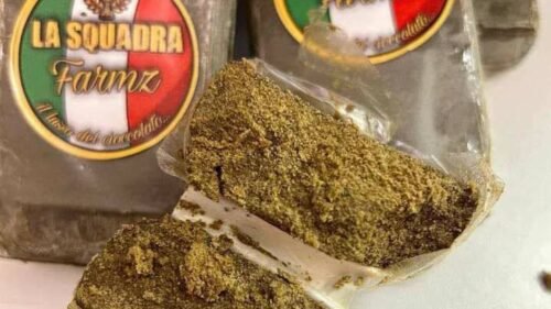Farm Partnerships And Hash Consistency: How Trusted Farms Keep Every Gram Identical 19 La Squadra Farmz Hash Collaboration Photo 1