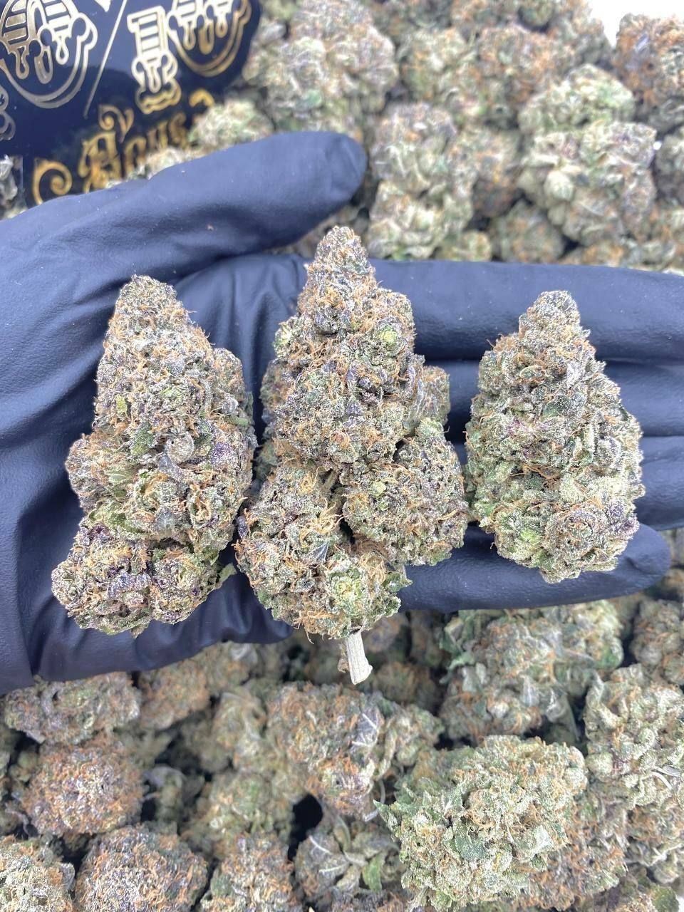 Obama Runtz jar illustrating storage concept