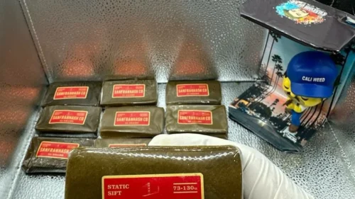 Sanfranhash Co static sift hash lineup, bridging dry and frozen profiles