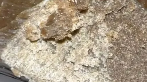 Best Frozen Sift Hashes for Potency 2026: Top Static Sift & Cali Plates Picks Ranked 10 04 KINGXIII x RNTZ 160/45u Frozen Premium Sifon Batch