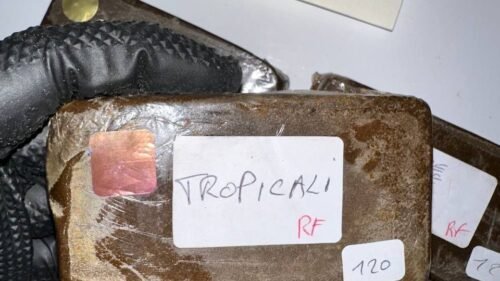 White Runtz Cali Plates Premium Hash macro shot