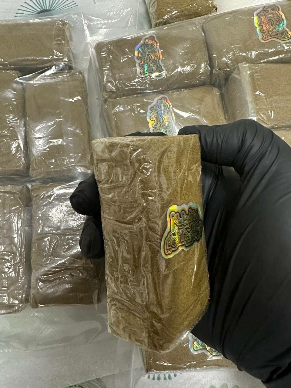 Mousse Hash Flavor Profiles And Notes: The Complete Connoisseur’s Guide To LA Mousse Static Sift 10 LA MOUSSE A+++ Macro Texture