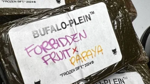 Best Frozen Sift Hashes for Potency 2026: Top Static Sift & Cali Plates Picks Ranked 4 Bufalo Plain Frozen Sift Hash High Potency