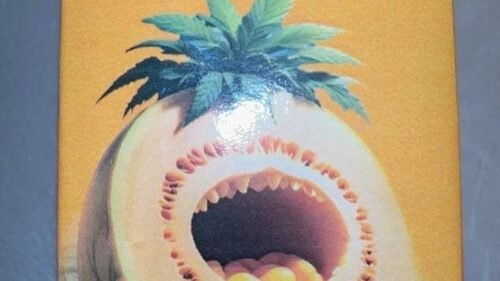 Best Frozen Sift Hashes for Potency 2026: Top Static Sift & Cali Plates Picks Ranked 8 Mountain Giants Frozen Sift Bulk Hash 2026