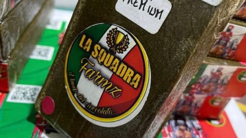 Sumer Worldwide six star hash line up top view