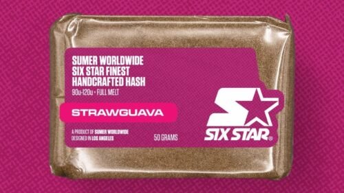 How Mousse Hash Is Made: Inside The Craft Of LA Mousse Style Hashish 14 Mountain farm style mousse hash example