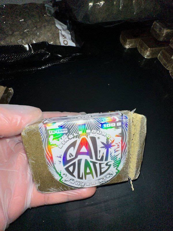 Do-Si-Dos Cali Plates Frozen Sift gallery image