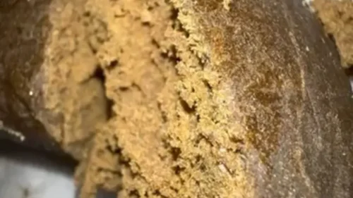 Best Frozen Sift Hashes for Potency 2026: Top Static Sift & Cali Plates Picks Ranked 12 07 APPL FRIT ZKTLZ x2 sifon 160/45u Frozen Premium Hash 2026